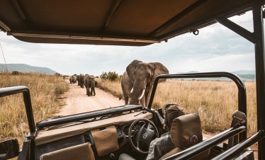 5-Day Big 5 Kruger Safari & Scenic Panoramic Route Tour