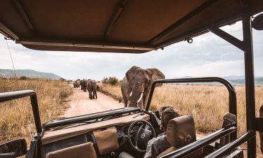 4-Day The Greater Kruger Tshukudu Safari