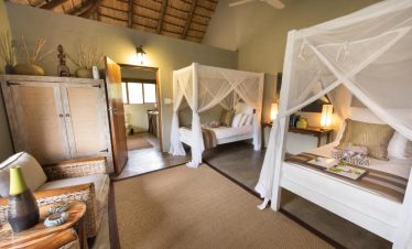 4-Day Timbavati Kambaku Safari Lodge Fly in Safari