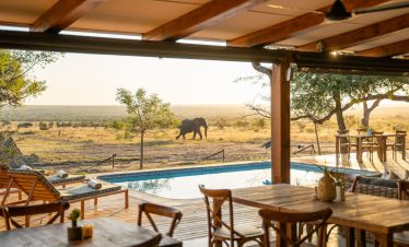 5-Day Timbavati Walkers Plains Camp