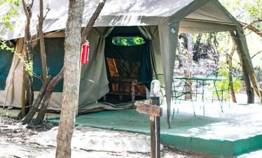 4-Day Tremisana/Tent Kruger Park Safari