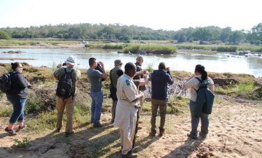 5-Day Tremisana/Masango Kruger Park Safari