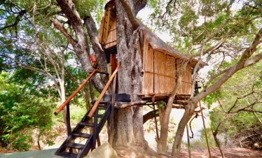5-Day Tremisana/Treehouse Kruger Park Safari