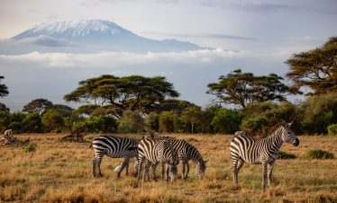 3-Day Amboseli and Tsavo West Safari from Mombasa