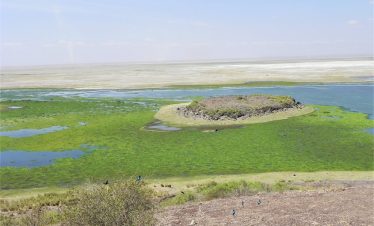 2-Day Amboseli and Kilimanjaro Adventure