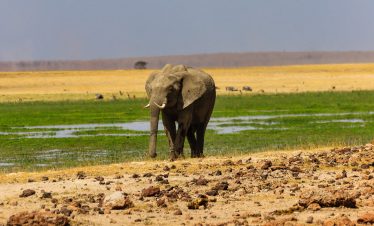 3-Day Maasai Mara Thrilling Vacation Group Budget Tour