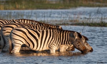 7-Day Kalahari Explorer’s Tour