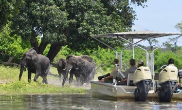 7-Day Affordable Botswana & Victoria Falls