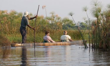 6-Day Unfiltered Botswana