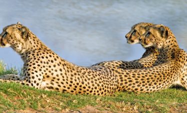 6-Day Victoria Falls Getaway Holiday Tour Package