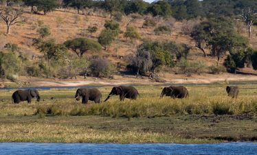5-Day Victoria Falls & Chobe Palm River Luxury Tour