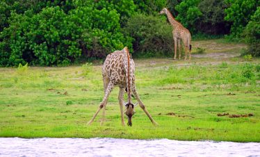 5-Day Victoria Falls and Chobe NP Package