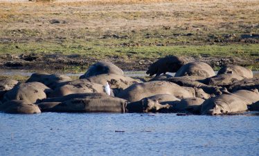 4-Day Victoria Falls Game Drive & Activities Budget Tour
