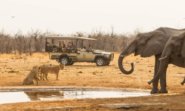 7-Day Botswana Adventure Fly-in Safari