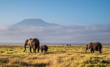3-Day Super Adventure at Amboseli National Park