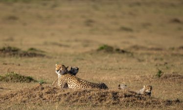 3-Day The Famous Mara – Mid-Range