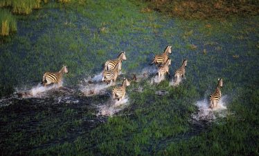 7-Day Victoria Falls & Botswana Enchanting Safari