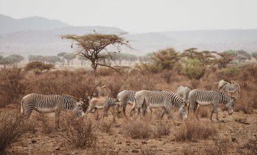 3-Day Samburu Special