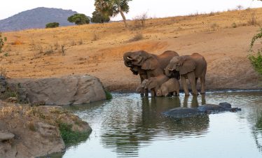 3-Day Tsavo West National Park Trip from Mombasa