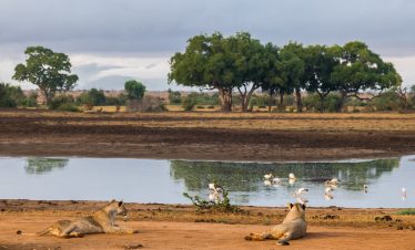2-Day Trail to Tsavo East National Park