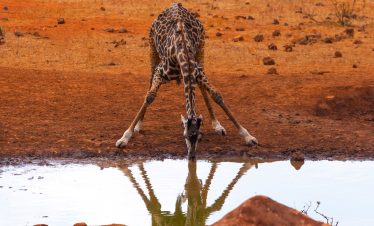 2-Day Scenes of Taita Hills Wildlife Sanctuary – Luxury