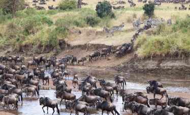 3-Day Kenya Masai Mara Express Safari
