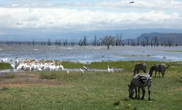 2-Day Lake Nakuru Tour