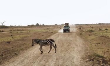 2-Day Amboseli National Park Adventure