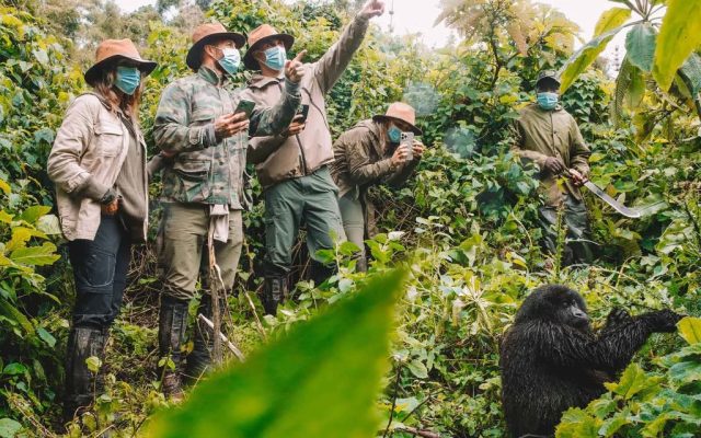 Tourists on a gorilla trek in Bwindi Impenetrable Forest — Uganda safari itineraries guide