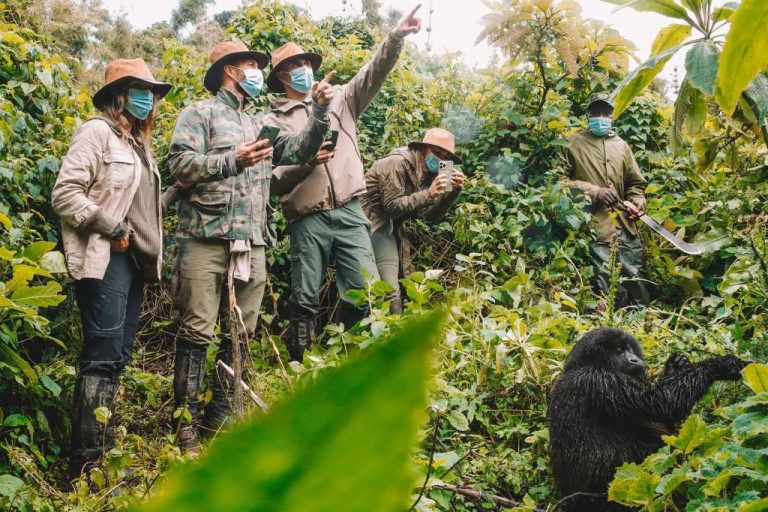 15 Best Uganda Safari Itineraries for Every Type of Traveler