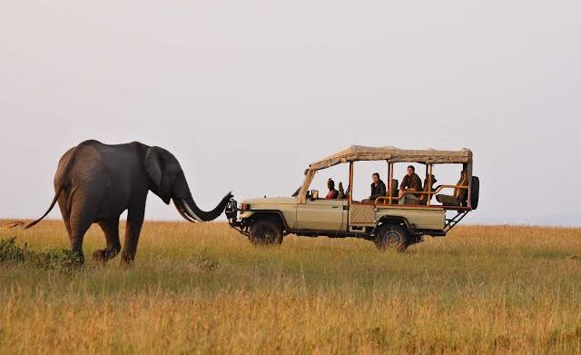 15 Days Uganda Adventure Safari