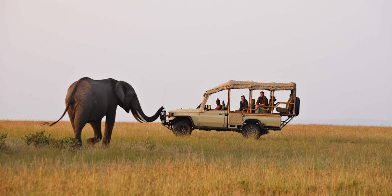 15 days Uganda adventure safari