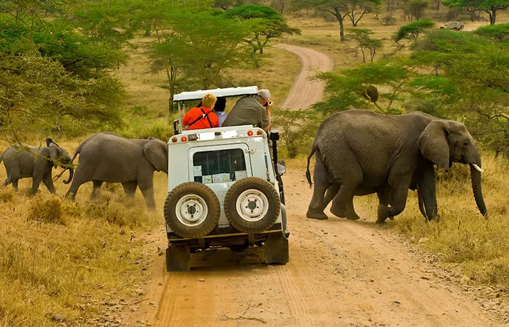 16 Days Best Uganda Safari