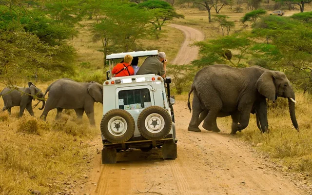 16 Days Best Uganda Safari