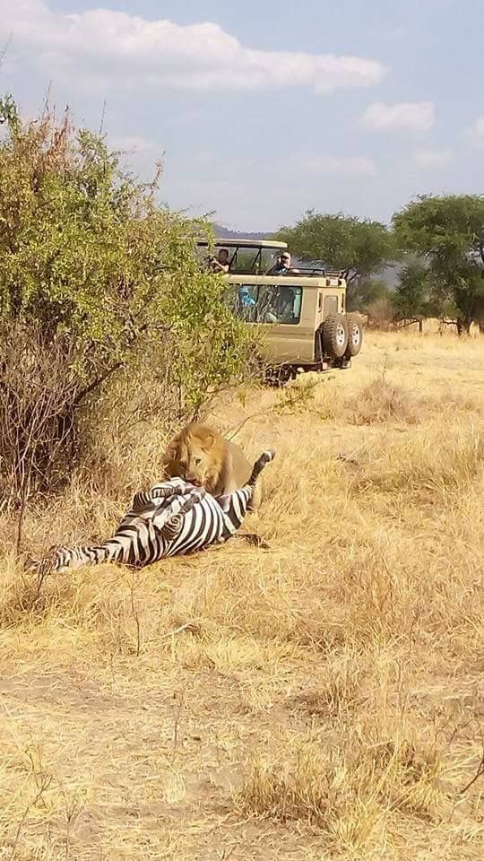 2 Day Uganda Safari Cost — Uganda safari travel guide
