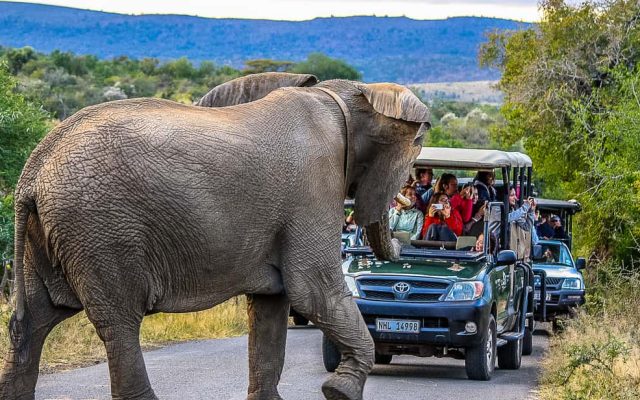 4-Day Hluhluwe-Imfolozi Big 5 & St Lucia Wetland