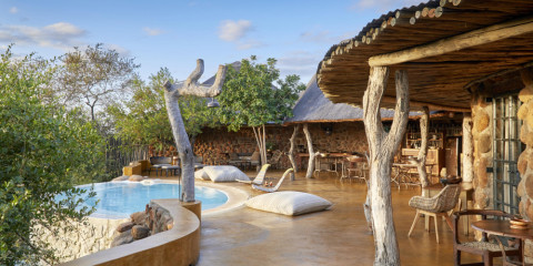 4-Day Timbavati Safari Short and Sweet