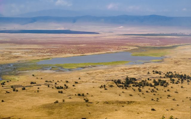 3 days Serengeti & Ngorongoro Wildlife Tour