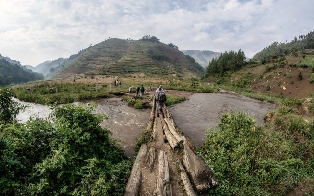 5 Days Uganda Gorilla and chimp trekking from Kigali