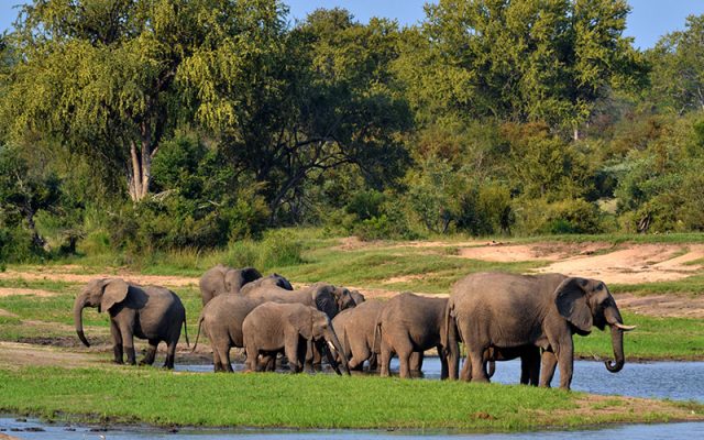 5-Day Classic Chalet Safari