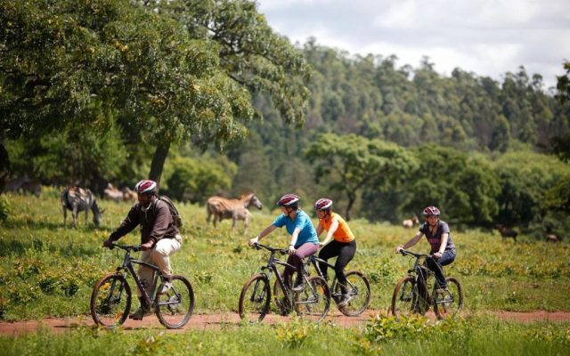 5 days Swaziland tour