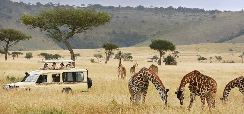 9 Days Uganda Wildlife Safari