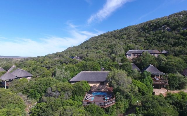2-Day Amakhala Woodbury Lodge – 1 Night