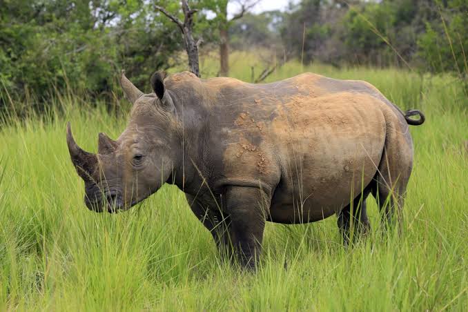 Ajai Wildlife Reserve