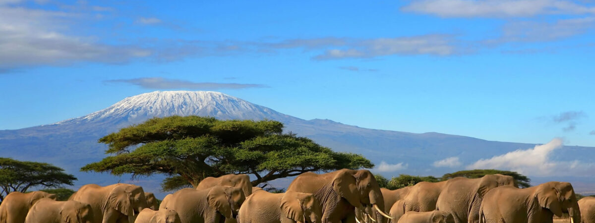 Amboseli National Park