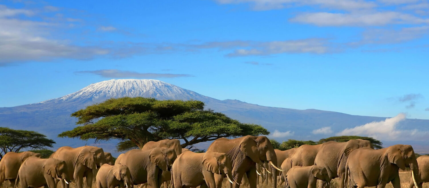 Amboseli National Park
