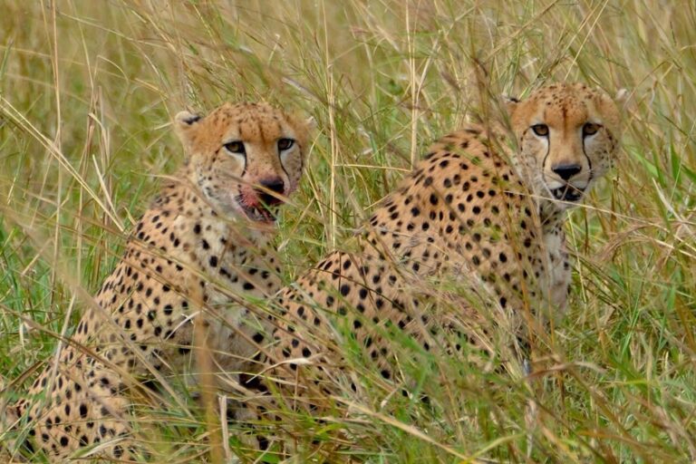 Bokora Wildlife Reserve
