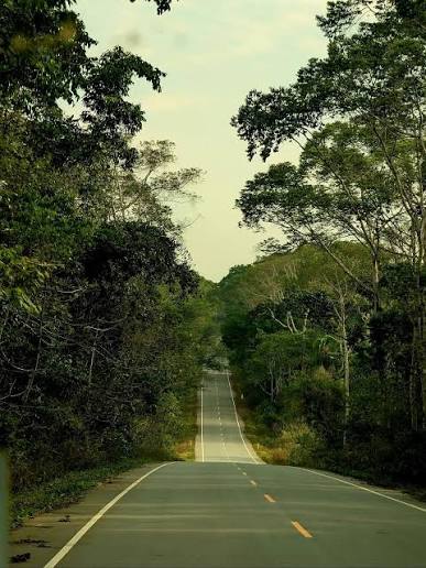 Budongo Forest Reserve