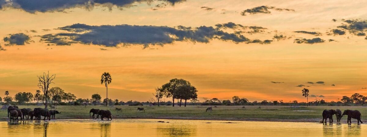 Chobe National Park
