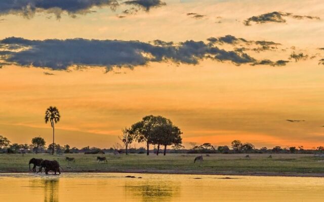 Chobe National Park